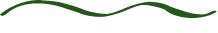 Neoma sottolinea il concetto di green Heart